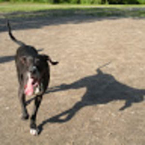 Meet your Posher, Ben